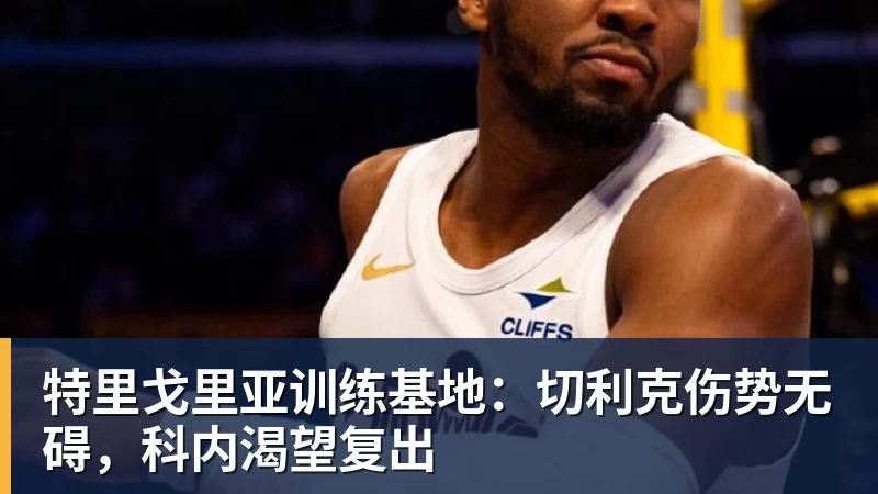 米兰体育特里戈里亚训练基地：切利克伤势无碍，科内渴望复出